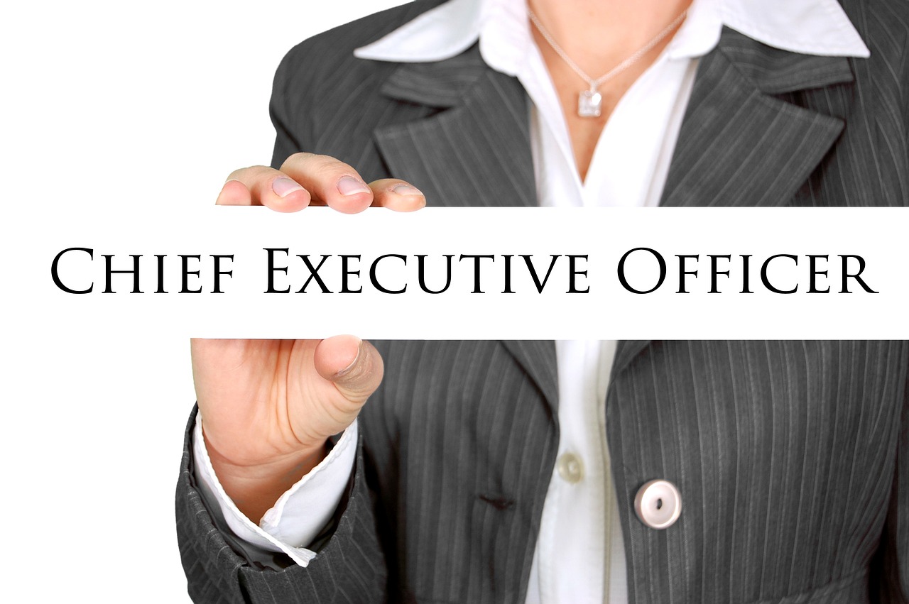 businesswoman, ceo, manager, woman power, specialist, woman, female, woman sign, gender, executive, men's suit, work, business, finance, leader, team, team leader, teamwork, success, director, boss, superior, advisor, profession, blazer, blouse, office, successful, expert, career, management, outfit, person, professional, ceo, ceo, ceo, ceo, ceo